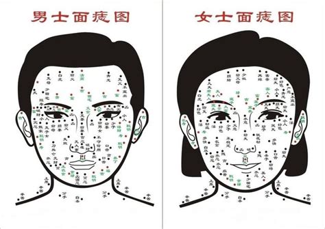 臉部 痣|【2025 最新】7 種常見臉上的痣與在面相學裡的涵。